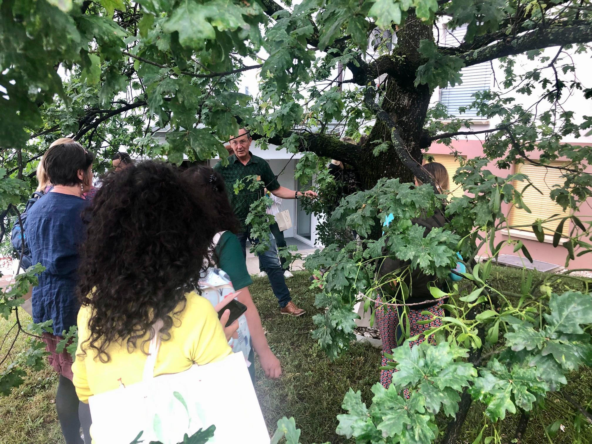 1 csoport zaras 2020